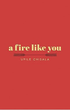 A Fire Like You